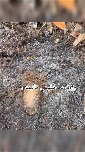 اجيت اكتب نعسانه وكتبت خليني نايمه 🗿💔 #remix #music #song #beats #slowedandreverb #jujutsukaisen