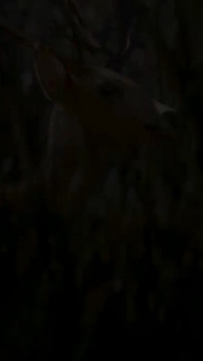 The moment you all have been waiting for is here - #Adipurush advance ticket booking is now open! To watch the movie at #UdayanCinema, book your tickets at the box-office or online: http://bit.ly/UdayanCinema_Tickets #Prabhas Kriti Sanon #SaifAliKhan #OmRaut #BhushanKumar #KrishanKumar T-Series Films | Udayan Cinema, Sheoraphuli