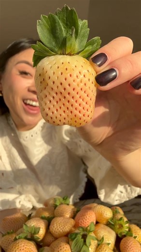 Fresh, fun, and full of new discoveries each week. Misfits Market delivers high-quality groceries and unique items you won’t find at your local store. Each order is a little adventure for your kitchen. | Misfits Market