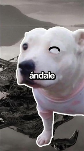 NUNCA nades aquí 💀