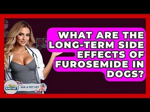 What Are The Long-term Side Effects Of Furosemide In Dogs? - Ask A Pet Vet