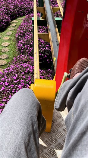 Exploring the Beauty of Malang and Batu