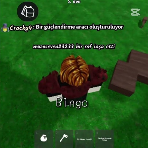bingo roblox
