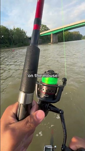 Wasn’t expecting to actually catch anything #fishing #fishingvideo