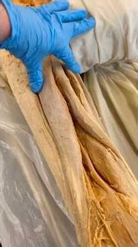 SCARY TRUTH About Tight Hamstrings!