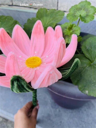 How to Create a Beautiful Lotus Flower Tutorial