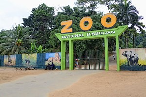 Côte d’Ivoire : À la découverte du zoo d’Abidjan - Destination Afrique