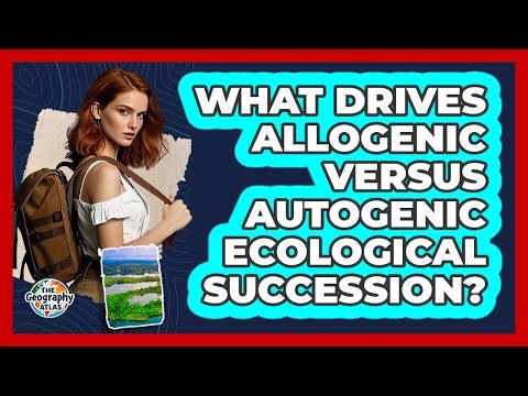 What Drives Allogenic Versus Autogenic Ecological Succession?