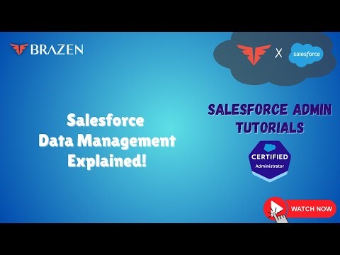 Data Management in Salesforce | Salesforce Training for Beginners | Salesforce Admin