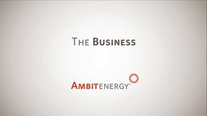 The Business, Why Ambit Works