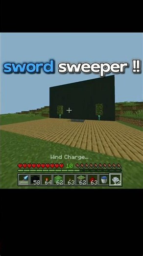Armour sweeper in minecraft 💫