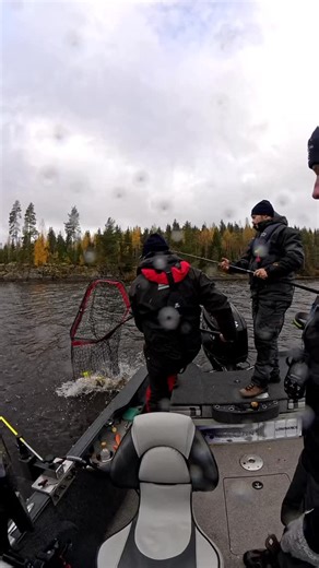 24 reactions |  Our fishing guides in action! They caught an incredible 21 pikes between 90 and 114 cm from Lake Kyyvesi! Come and experience fishing in Finland with our skilled fishing guides @funnyfishinginfinland and @amr.fishing www.rockandlake.com #fishinginfinland #rockandlake_fishing #pikefishing #fishingguide | Rock and Lake | Facebook