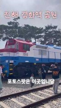 진해 벚꽃근황ㅣ2026.03.27-2026.04.05ㅣ#진해벚꽃 #진해군항제 #벚꽃맛집 #진해벚꽃