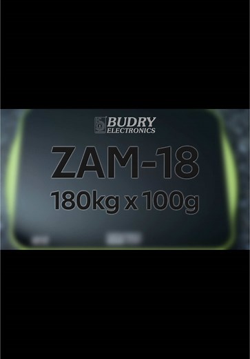 Budry Bathroom Weighing Scale with Auto Power On/Off Feature