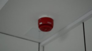 Alarm, Fire, Danger. Free Stock Video