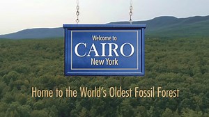Oldest Fossil Forest - Cairo Fossil Forest | Town of Cairo