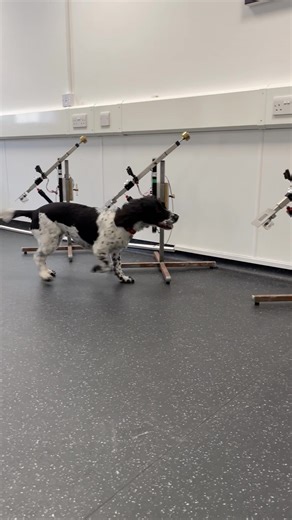 1.5M views · 10K reactions | This #worldcancerday we’re celebrating...