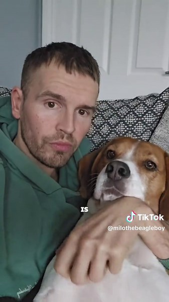 Beagle Dogs: Adorable Moments and Funny Antics