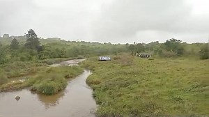 16K views · 160 reactions | RIVER RESCUE IN PROGRESS: Officials from the United Nations Development Programme (UNDP), the Eswatini National Trust Commission and other partners toured sections of the Lusushwana River recently restored through the clearing of invasive plants. It does make you wonder: if a river can bounce back once the weeds are out of the way, what else in our environment, or even our lives, could flourish with a little clearing out? | Times of Eswatini | Facebook