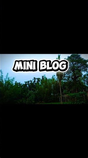 MINI BLOG 😎😎 #miniblog #comedy #shorts