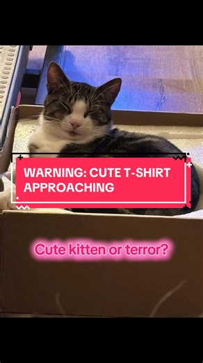 Cute and funny cat T-shirt. #fyp #catlover #catsoftiktok #ticktockmademedoit #tiktokshop