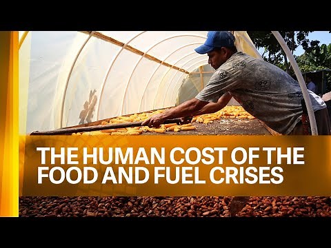 The Human Cost of the Food and Fuel Crises | WBG-IMF 2022 Annual Meetings