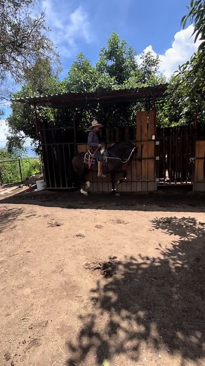 @cuadra espinoza #caballosbailadores #caballos #arrendadordecaballos