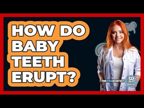 How Do Baby Teeth Erupt?