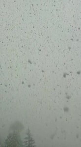 Chopta today #teamuttaranchaltourism | Badrinath Dham