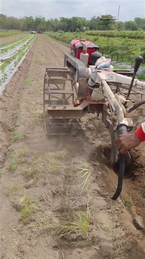 Advanced tool for loosening dry land -Agriculture farming #shorts