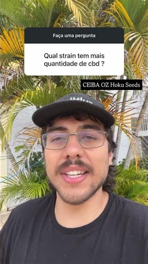 QUAL a STRAIN com MAIOR QUANTIDADE de CBD?
