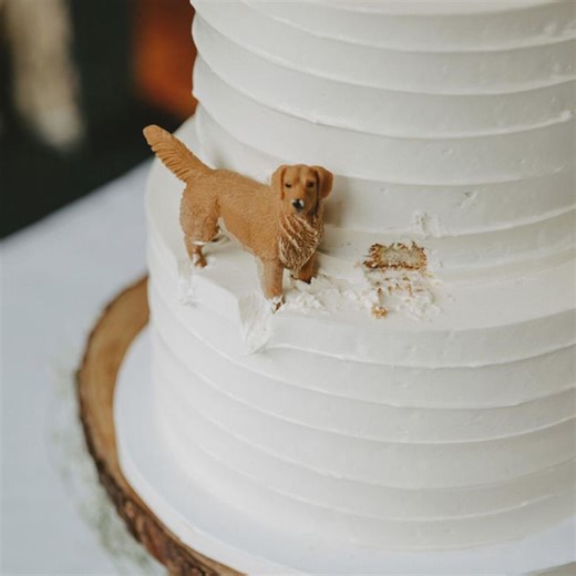 Custom Pet Wedding Cake Topper, Personalized Dog Cat Figurine, Handmade Keepsake - Etsy