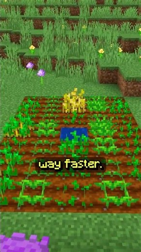 You are farming WRONG in Minecraft