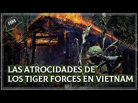 This is how the 'Tiger Force' operated, the BLOODIEST US unit in the Vietnam War.