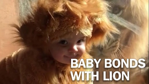 371K views · 1.2K shares | Watch this adorable baby dressed as a lion...
