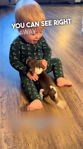 18K views · 409 reactions | Little Boy And Little Dog Became Best Friends ❤️ | Cute Things | Facebook