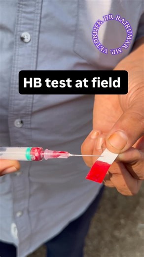 VetDrLife on Instagram: "HB test in a minute at field. #veterinary #vetdoctor #cow #animallovers #viral #vet #"