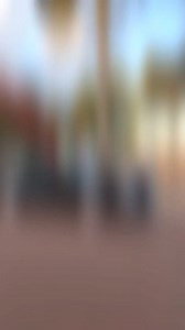 17K views · 572 reactions | What a line up! @88hsvl @__gdsgft__ @frankdarmanin @broods.media #blktux #gdsgft #progm8 #vk #vl #vh #v8 #motorex #simmonswheels #billetwheels #tubbed #elitecars #followus #killerausrides #killer_aus_rides | killer_aus_rides | Facebook