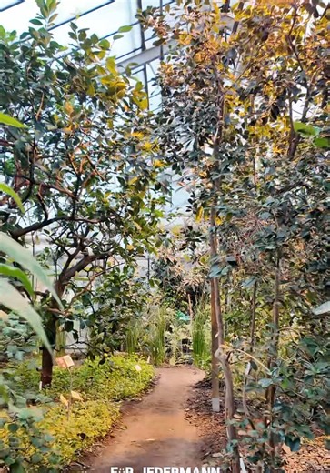 Exploring German Family Time: Fun Biology Learning Activities