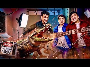 ملوك السعادة في مواجهة تمساح حقيقي😂🐊