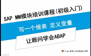 顾问学习ABAP-写一个报表 定义变量