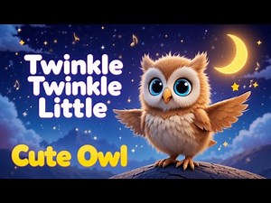 Twinkle Twinkle Little Star | Cute Baby Owl Sings | Sleepytime Lullaby