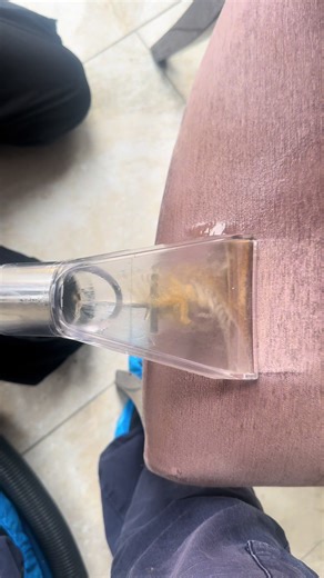 Effective Carpet Cleaning Techniques for a Fresh Home