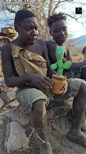 5 Facts interesting 🤔