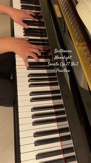 Beethoven Moonlight Sonata Op.27 No.2 Practice