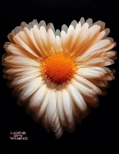 1.1M views · 35K reactions | R.I.P. Connie Francis ♡ Pretty Little Baby | Laps of music | Facebook