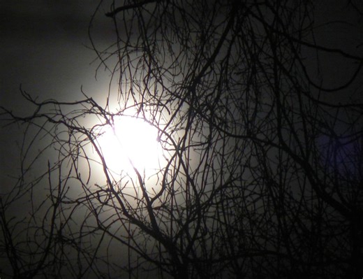 Psychotronics and the cosmic machinery of the afterlife – Lifeboat News: The Blog