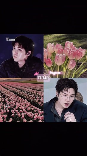 BTS as flowers...? 🌸✨ ||‪@Tanu._.Alien-7‬ #shorts #youtubeshorts #trending #viral #bts #fyp #edit