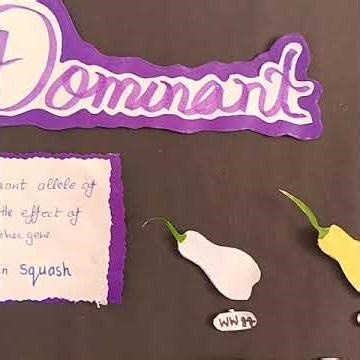 Zoology Chart explanation on Epistasis