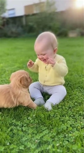Dog & Baby Playtime Delight! 🐶😂 | Videos 046 #shorts #cute